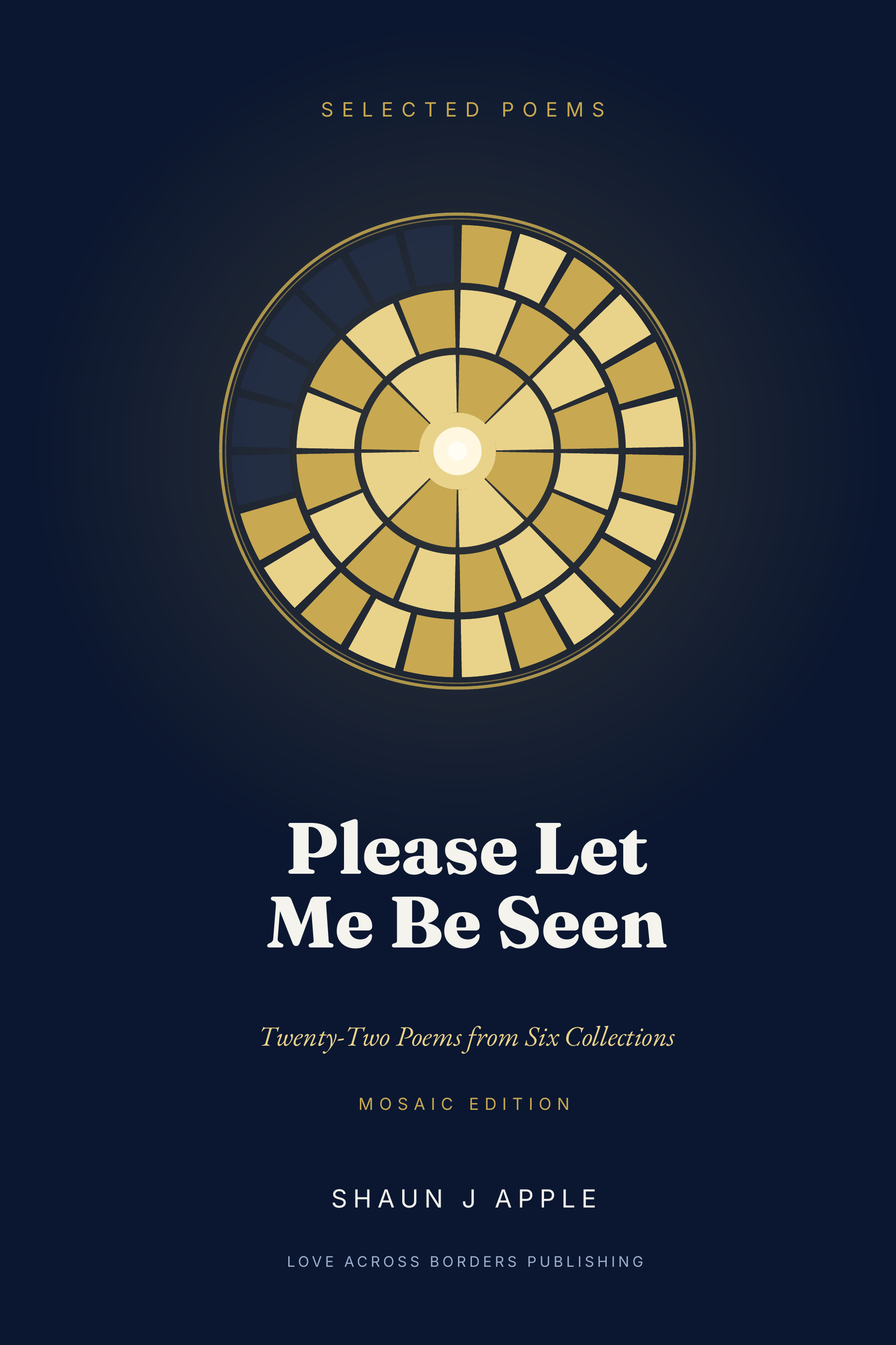 Front cover of Please Let Me Be Seen by Shaun J Apple.
