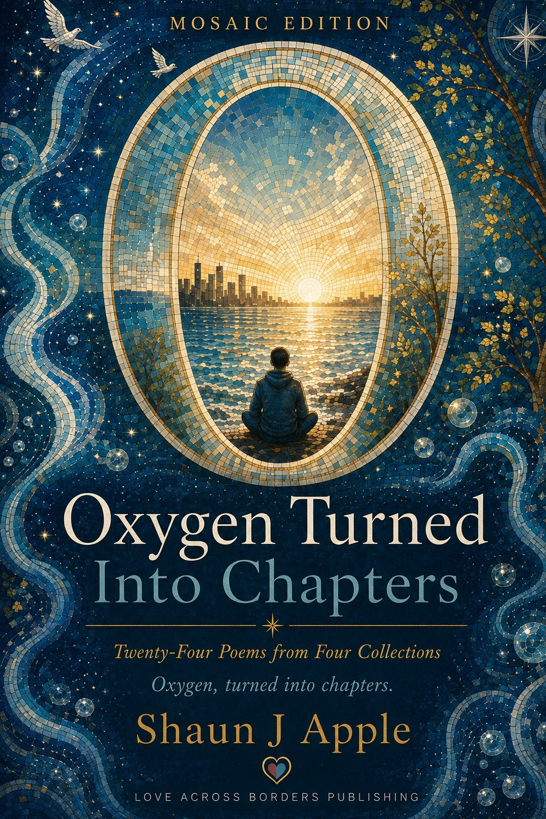 Front cover of Oxygen Turned Into Chapters by Shaun J Apple.
