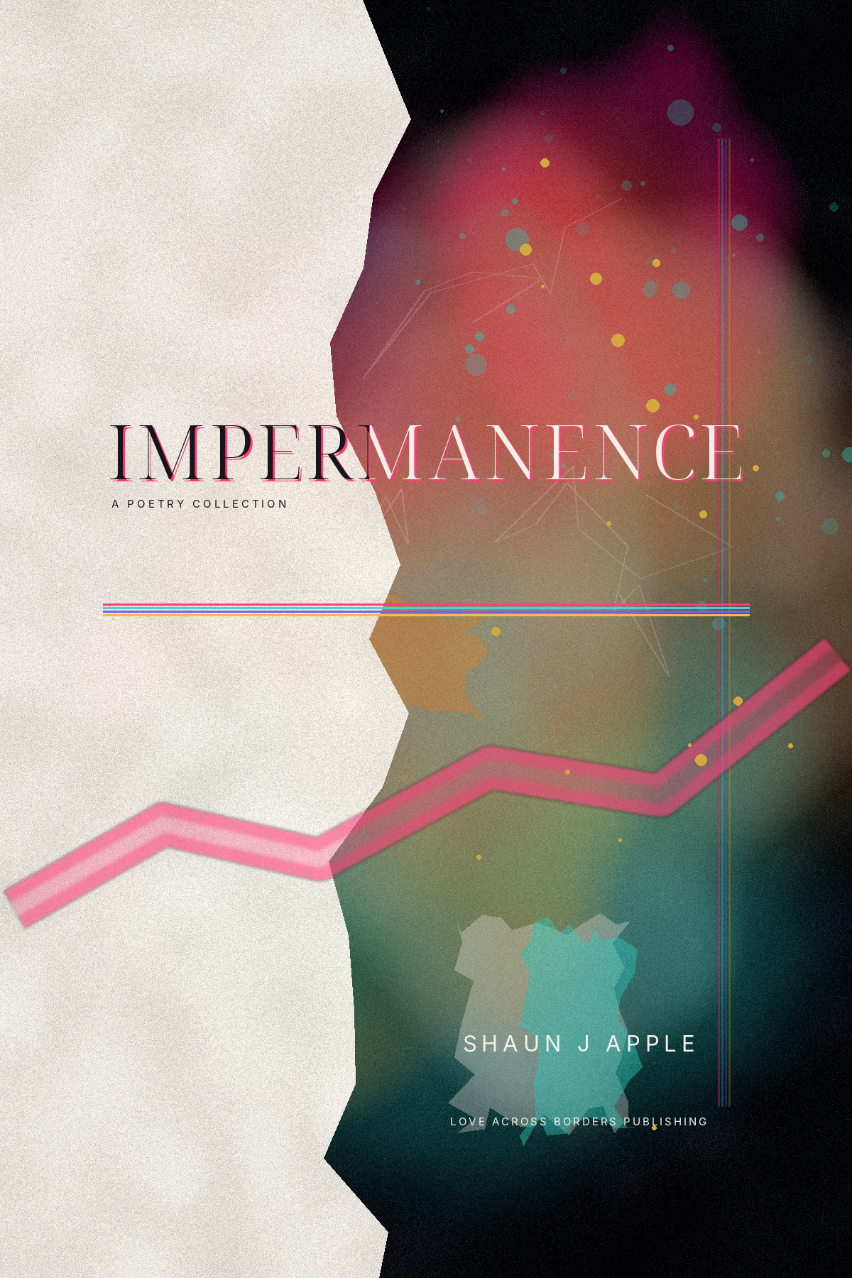 Front cover of Impermanence by Shaun J Apple.